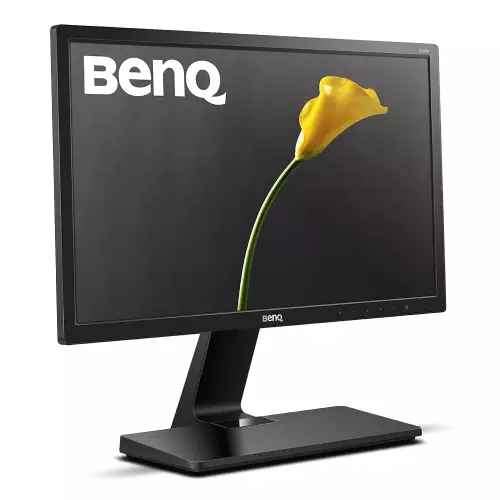 BenQ GL2070 19.5-inch LED Eye-Care Monitor - 1