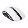 Rapoo 7200P Wireless Optical Mouse-2