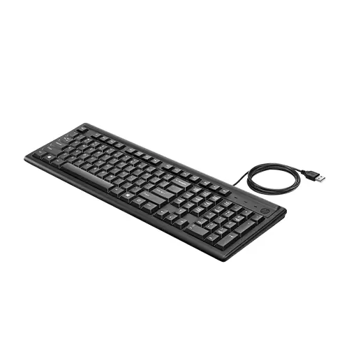 HP 100 Wired Keyboard - 1