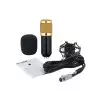 BMG BM800 HIGH PERFORMANCE CONDENSER MICROPHONE-1