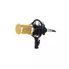 BMG BM800 HIGH PERFORMANCE CONDENSER MICROPHONE-3