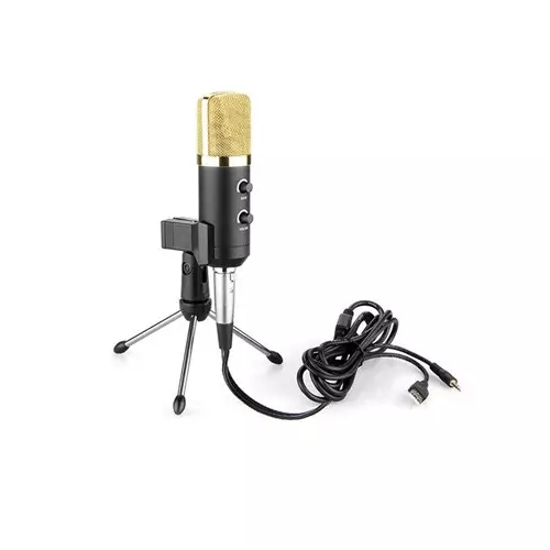 BM-100FX USB POWERED CONDENSER STUDIO RECORDING MICROPHONE WITH NOISE CANCEL AND ECHO EFFECT