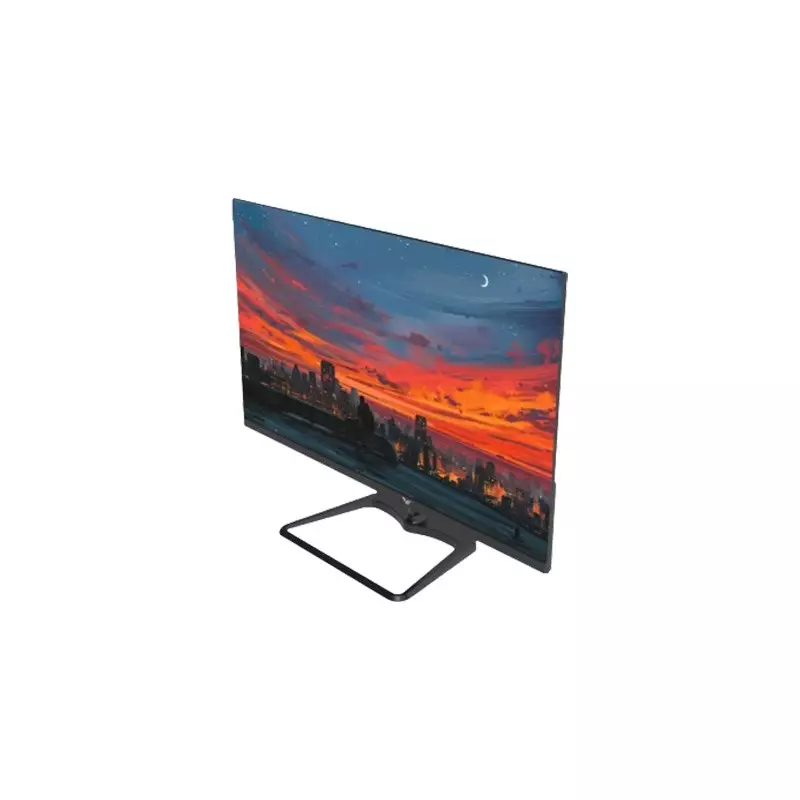 Value-Top T24IFR100 23.8 Inch Full HD 100Hz IPS LED Monitor - 3