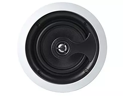 Crossroads IC60-H in Ceiling Outdoor Speaker