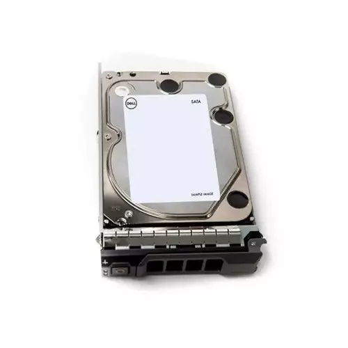 Dell 12TB 7.2K RPM SATA 6Gbps 512e 3.5-Inch Hot-Plug Server HDD
