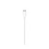 Apple Type-C to Lightning Cable 1M-1
