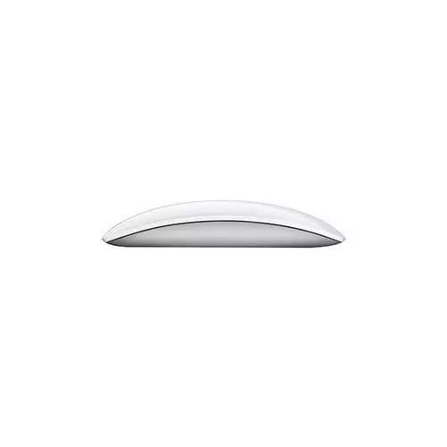 Apple Wireless Magic Mouse - 1