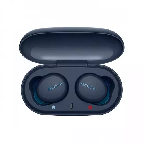 Sony WF-XB700 True Wireless Earbuds - 1