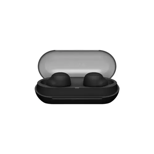 Sony WF-C500 True Wireless Earbuds - 1