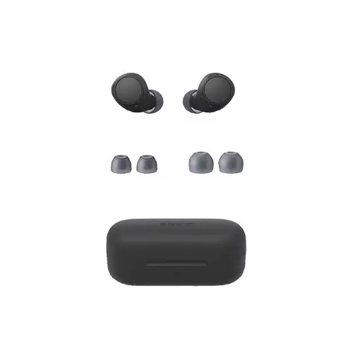 SONY WF-C510 Truly Wireless Earbuds-gallery-3