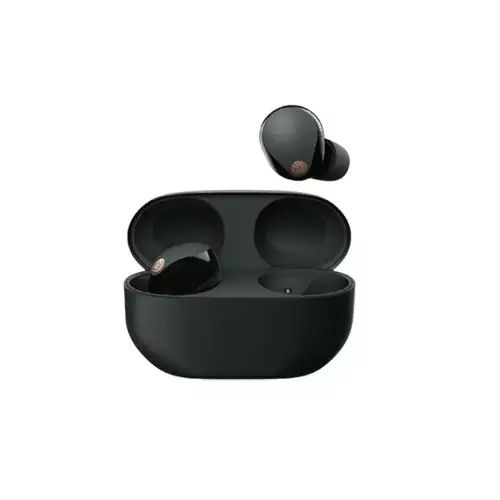 SONY WF-1000XM5 Wireless NC Black Earbuds - 1