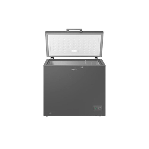 Samsung RI70F20V1GAGH 198 L Premium Design Freezer - 1