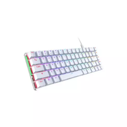 ASUS ROG FALCHION ACE WIRED BACKLIT MECHANICAL KEYBOARD-4