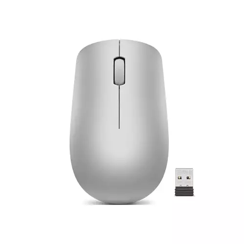 Lenovo 530 Wireless Mouse (Platinum Grey)