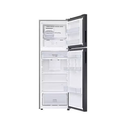 Samsung RT31CG5420B1 305L Mono Cooling 2-Door Refrigerator - 1
