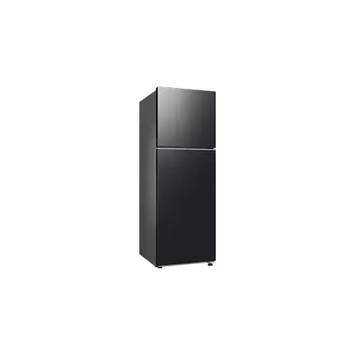 Samsung RT35CG5420B1SE 348L RT35 2-Door Refrigerator-1