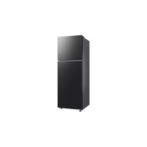 Samsung RT35CG5420B1SE 348L RT35 2-Door Refrigerator-4