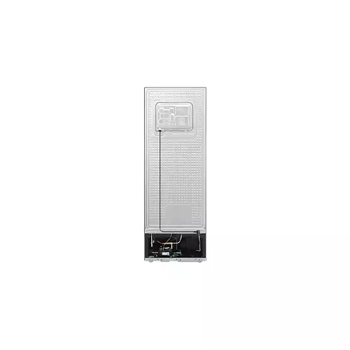 Samsung RT35CG5420B1SE 348L RT35 2-Door Refrigerator - 2