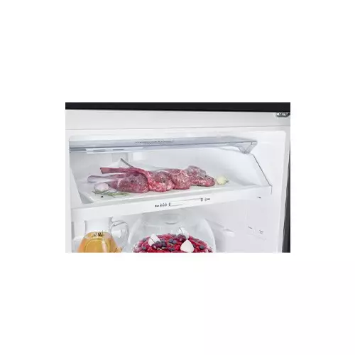 Samsung RT47CB664422ME CAP 465 LTR Top Mount Freezer-Refrigerator - 6