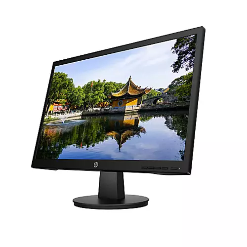 HP V22v FHD LED Monitor - 2