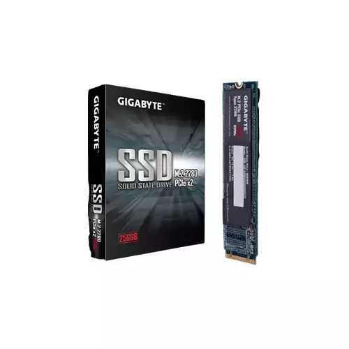 GIGABYTE 256GB M.2 PCIe SSD (GP-GSM2NE3256GNTD)
