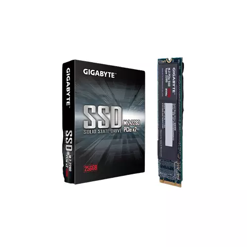 GIGABYTE 256GB M.2 PCIe SSD (GP-GSM2NE3256GNTD)