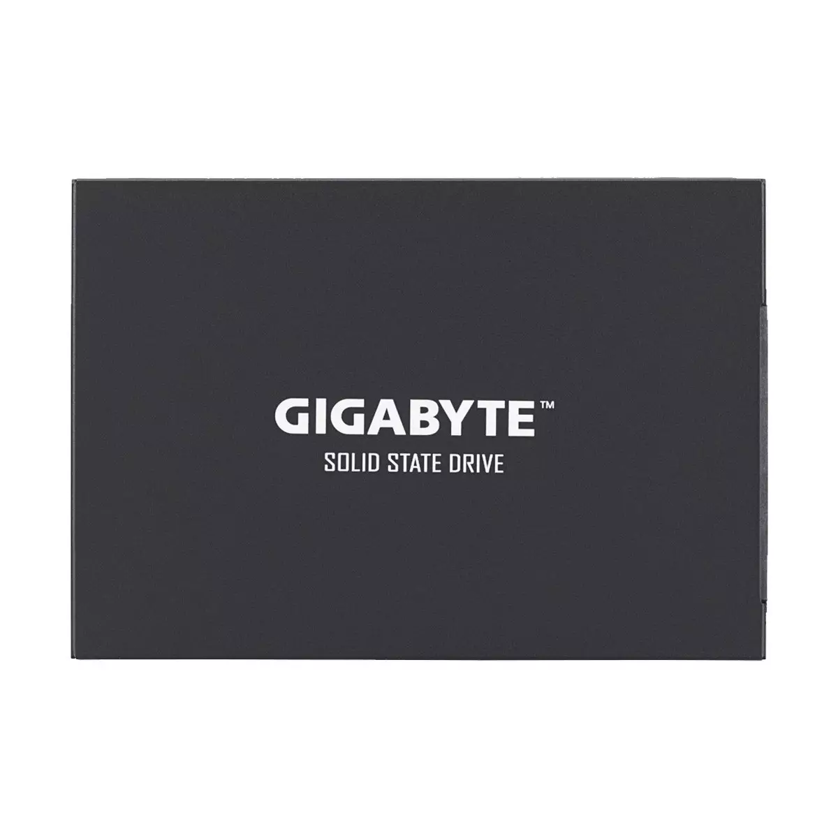 Gigabyte 256GB 2.5 Inch SATAIII SSD