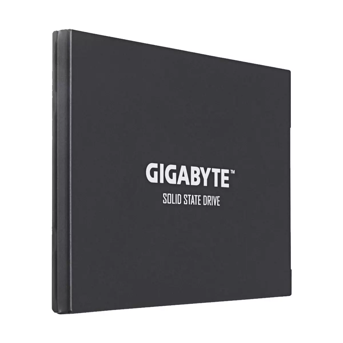 Gigabyte 256GB 2.5 Inch SATAIII SSD-2
