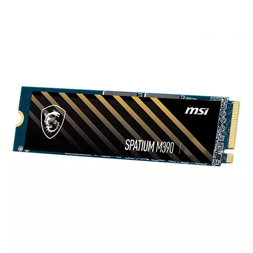 MSI SPATIUM M390 250GB NVMe M.2 SSD-1