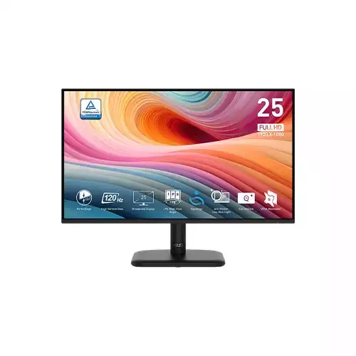 MSI PRO MP251L E2 24.5 Inch 120Hz 1ms FHD IPS Business Monitor
