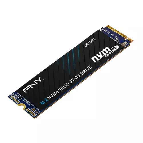 PNY CS1031 256GB M.2 NVMe Internal SSD-1