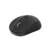 PROLINK PMW6008 2.4GHZ WIRELESS NANO OPTICAL MOUSE-1