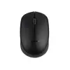 PROLINK PMW5008 2.4GHZ WIRELESS NANO OPTICAL MOUSE-1