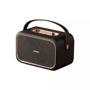 F&D RW40 40W Portable Bluetooth Speaker