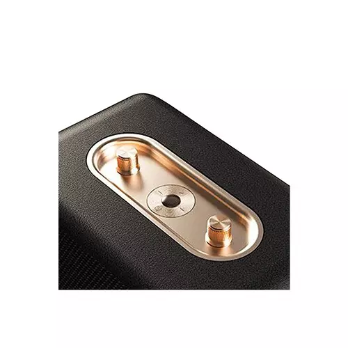 F&D RW40 40W Portable Bluetooth Speaker-gallery-2