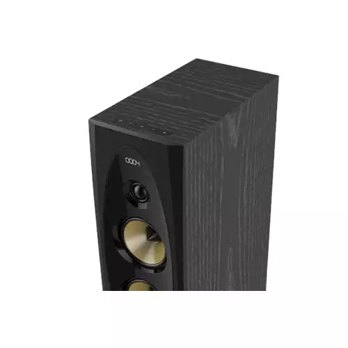 F&D T-60X PRO PEAK BLUETOOTH TOWER SPEAKER-1