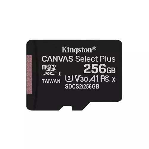 Kingston Canvas Select Plus 256GB UHS-I microSDXC Memory Card - 1