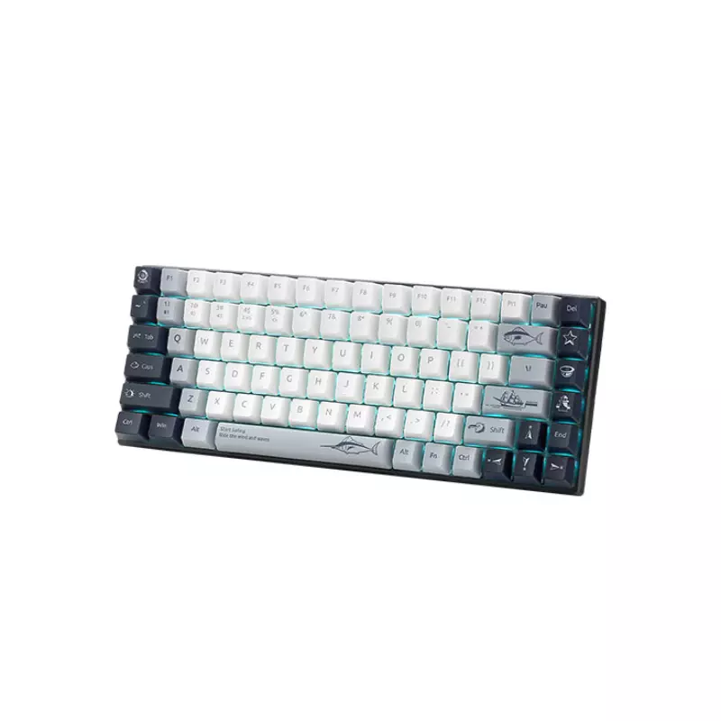 RAPOO MT510PRO BACKLIT MECHANICAL SILVER SWITCH KEYBOARD-gallery-2