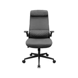 Cougar Stryder Gaming Chair (Grey)