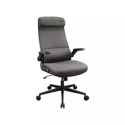 Cougar Stryder Gaming Chair (Grey)-gallery-1