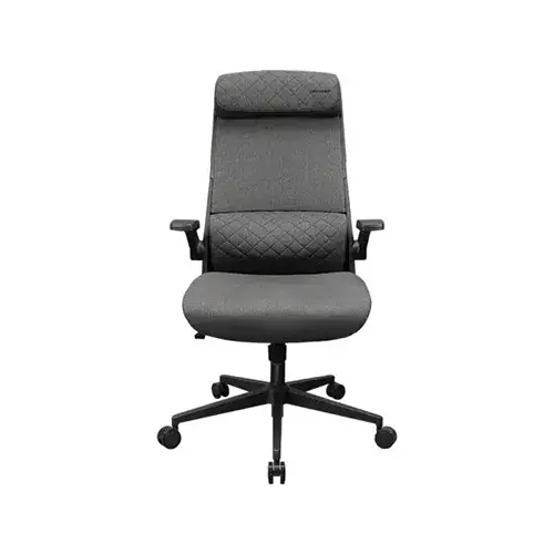 Cougar Stryder Gaming Chair (Grey)
