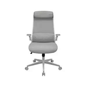 Cougar Stryder Gaming Chair (White)