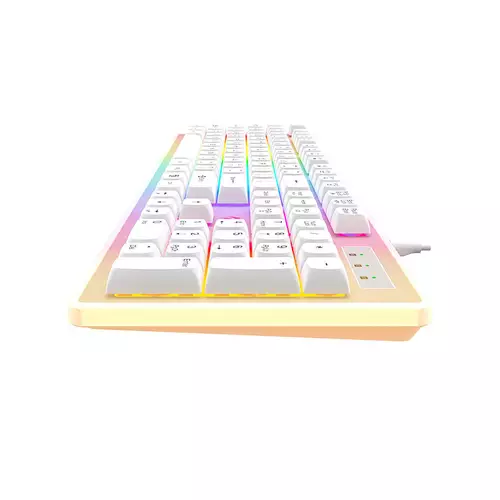 HAVIT KB876L GAMING RGB KEYBOARD (WHITE)-gallery-2