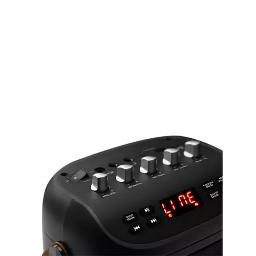 Edifier PK305 Professional stage-level Portable Speaker-2