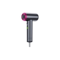 Awei DS-2 Powerful Lightweight Professional Hair Dryer