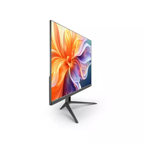 Walton CiNEXA WDF14D24I 23.8-Inch FHD 100Hz IPS Monitor - 2