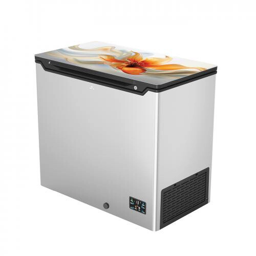 Walton WCF-2A0-GSRE-XX-P Inverter 210L Direct Cool Freezer - 2