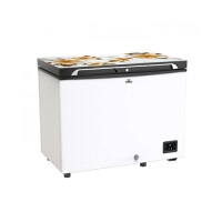 Walton WCG-2E5-GDEL-DD Inverter 255L Direct Cool Freezer