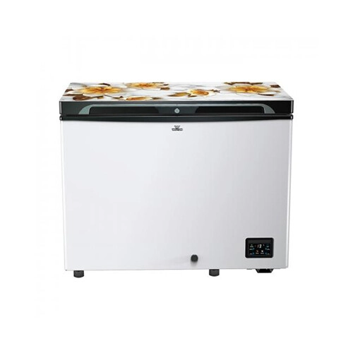 Walton WCG-2E5-GDEL-DD Inverter 255L Direct Cool Freezer - 1