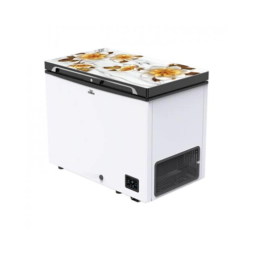 Walton WCG-2E5-GDEL-DD Inverter 255L Direct Cool Freezer - 2